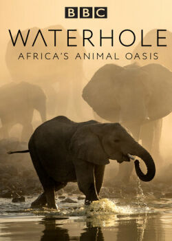 Водопой: Африканский Оазис для Животных