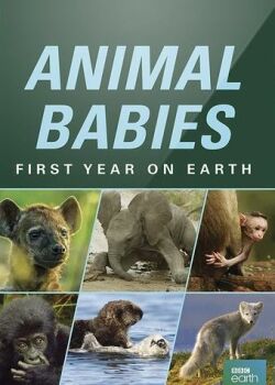 Малыши в дикой природе первый год на земле