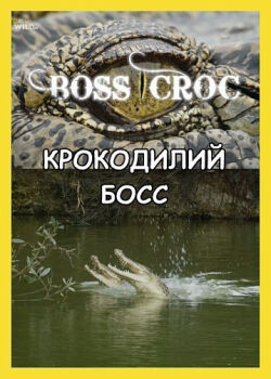 Крокодилий босс